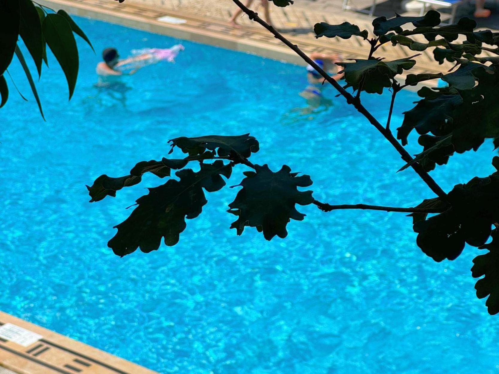 Village Camping Santa Fortunata - Campogaio Sorrent Exterior foto